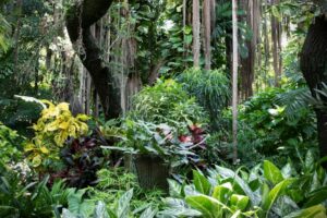 Garden Myth
