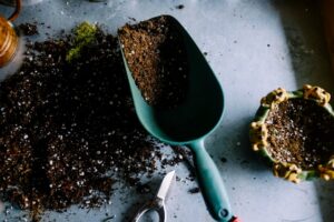 The Great Garden Myth: Why You Should Stop Buying Expensive 'Organic' Potting Soil